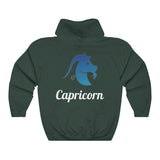 Capricorn 2-Sided Unisex Heavy Blend™ Hoodie